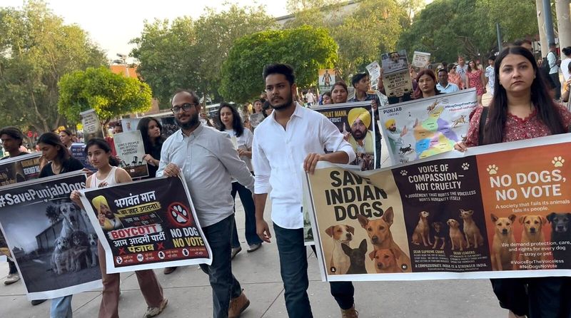 Activists march in Chandigarh against Punjab CM Bhagwant Mann’s ‘eliminate strays’ call